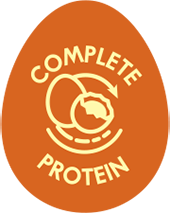 CeDe_completeprotein_rtm