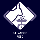 Balanced feed rabbit WM Expert
