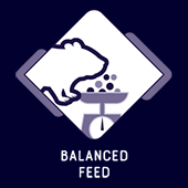 Balanced feed rodent WM Expert