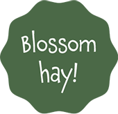 country-blossomhay