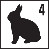 four_rabbits
