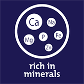 richinminerals_tf