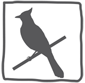 woodland-bird