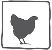 woodland-chicken