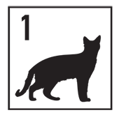 woodland_cat1