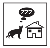 woodland_cat_zzz