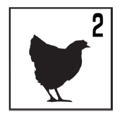 woodland_chicken2