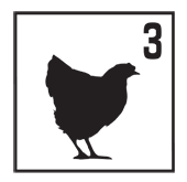 woodland_chicken3
