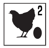 woodland_chicken_egg2