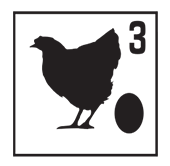 woodland_chicken_egg3
