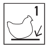 woodland_chicken_sit1