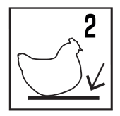 woodland_chicken_sit2