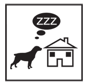 woodland_dog_zzz