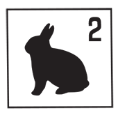 woodland_rabbit2