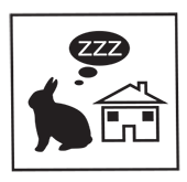 woodland_rabbit_zzz