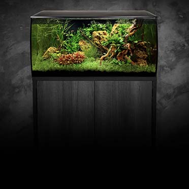 Fluval flex aquarium zoetwaterkit zwart - Sceneshot