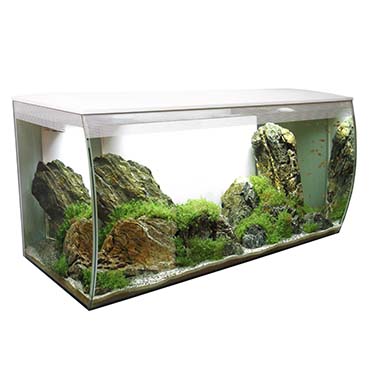 Fluval flex freshwater aquarium kit white Laroy Group