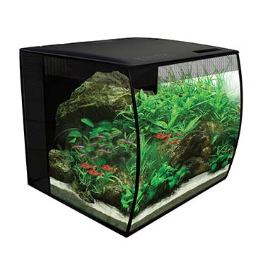 Fluval flex freshwater aquarium kit Black 34L