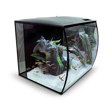 Fluval flex freshwater aquarium kit Black 57L