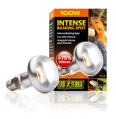 Ex intense basking spot lamp 100w