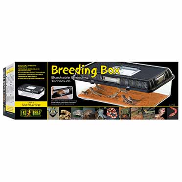 Ex breeding box black/transparent - Verpakkingsbeeld