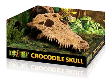Ex terrarium decor crocodile skull  23x12x7,5CM