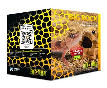 Ex big rock - Verpakkingsbeeld
