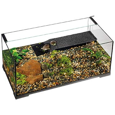 EX Turtle Haven terrarium voor waterschildpad Zwart - Sceneshot