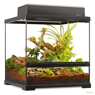 EX Pro terrarium Noir - <Product shot>