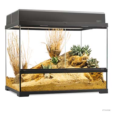 EX Pro terrarium Noir - <Product shot>