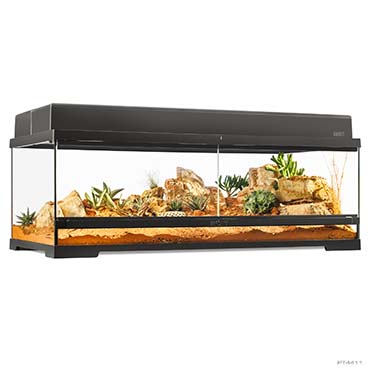 EX Pro terrarium Noir - <Product shot>