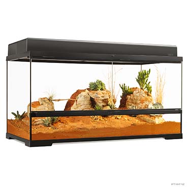 EX Pro terrarium Noir - <Product shot>