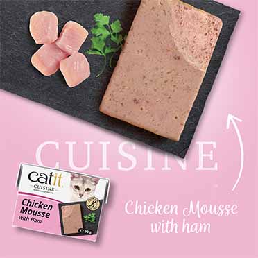 CA Cuisine Chicken Mousse with Ham - Sceneshot 2