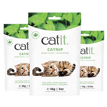 Ca catnip - Product shot