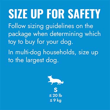 KONG Puppy Flyer Gemischte farben - Detail 2