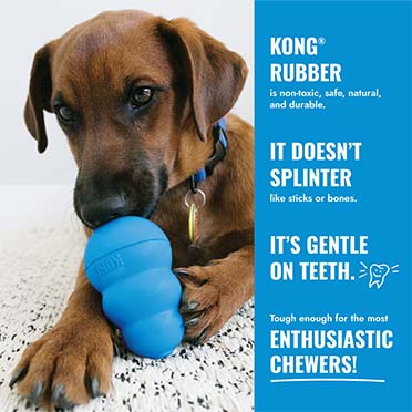 KONG Puppy Flyer Gemischte farben - Sceneshot 3