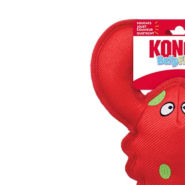 KONG Belly Flops Lobster Rood - Verpakkingsbeeld