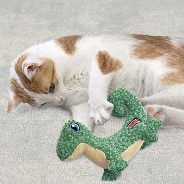 KONG Cat Luvs Lizard Grün - Sceneshot