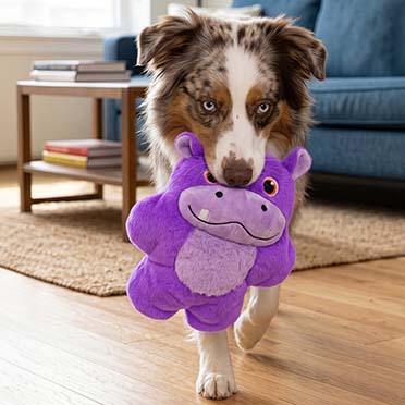 KONG Snuzzles Hippo Paars - Sceneshot