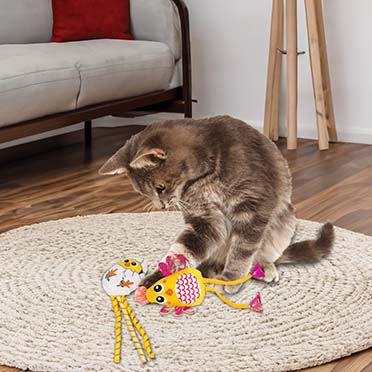 KONG Cat Scrattles Chicken Mehrfarbig - Sceneshot