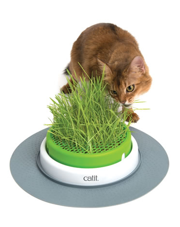 CA 2.0 GRASS PLANTER - Product shot