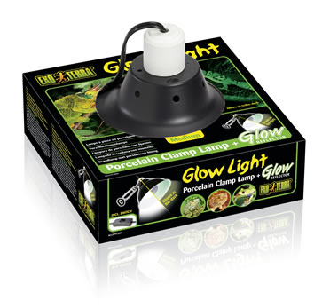 Ex lampe porcelaine glow light - <Product shot>
