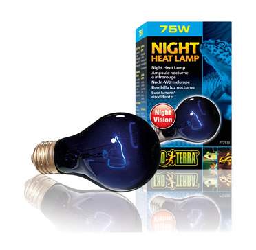 Ex night glo bulb - Product shot