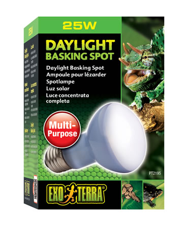 Ex lampe daylight basking spot - Product shot