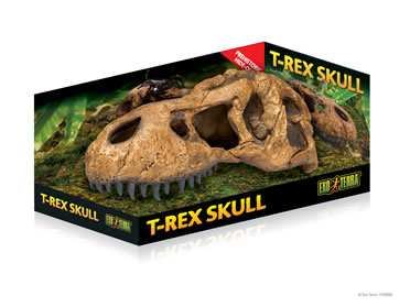 Ex t-rex skull fossil hide-out - Product shot