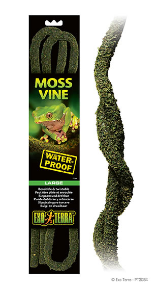 Ex moss vine bendable  Large
