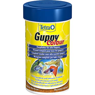 Guppy colour 100ml 144 ce - Product shot