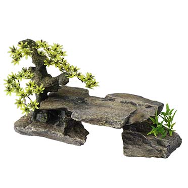 Bonsai steen met planten grijs - Product shot
