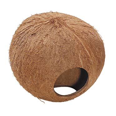 Coconut globehouse - Product shot