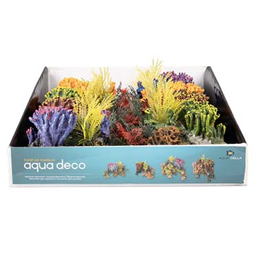 Coralset Medio - Facing